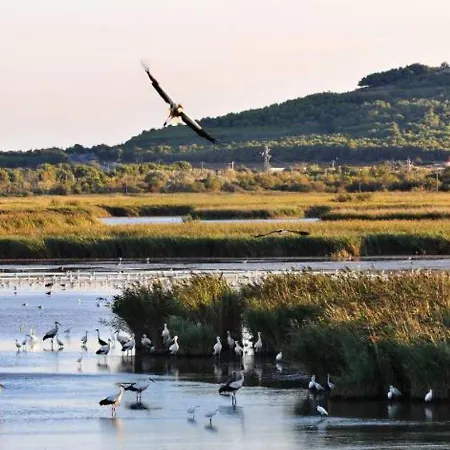 Confortable Avec Climatisation Au Cap D'agde Avec Port, Plages Et Nature Accessible A Pied * アグド