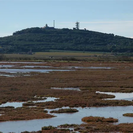 Confortable Avec Climatisation Au Cap D'agde Avec Port, Plages Et Nature Accessible A Pied アパート