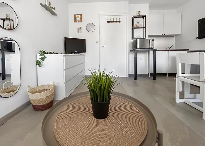 Confortable Avec Climatisation Au Cap D'agde Avec Port, Plages Et Nature Accessible A Pied Daire